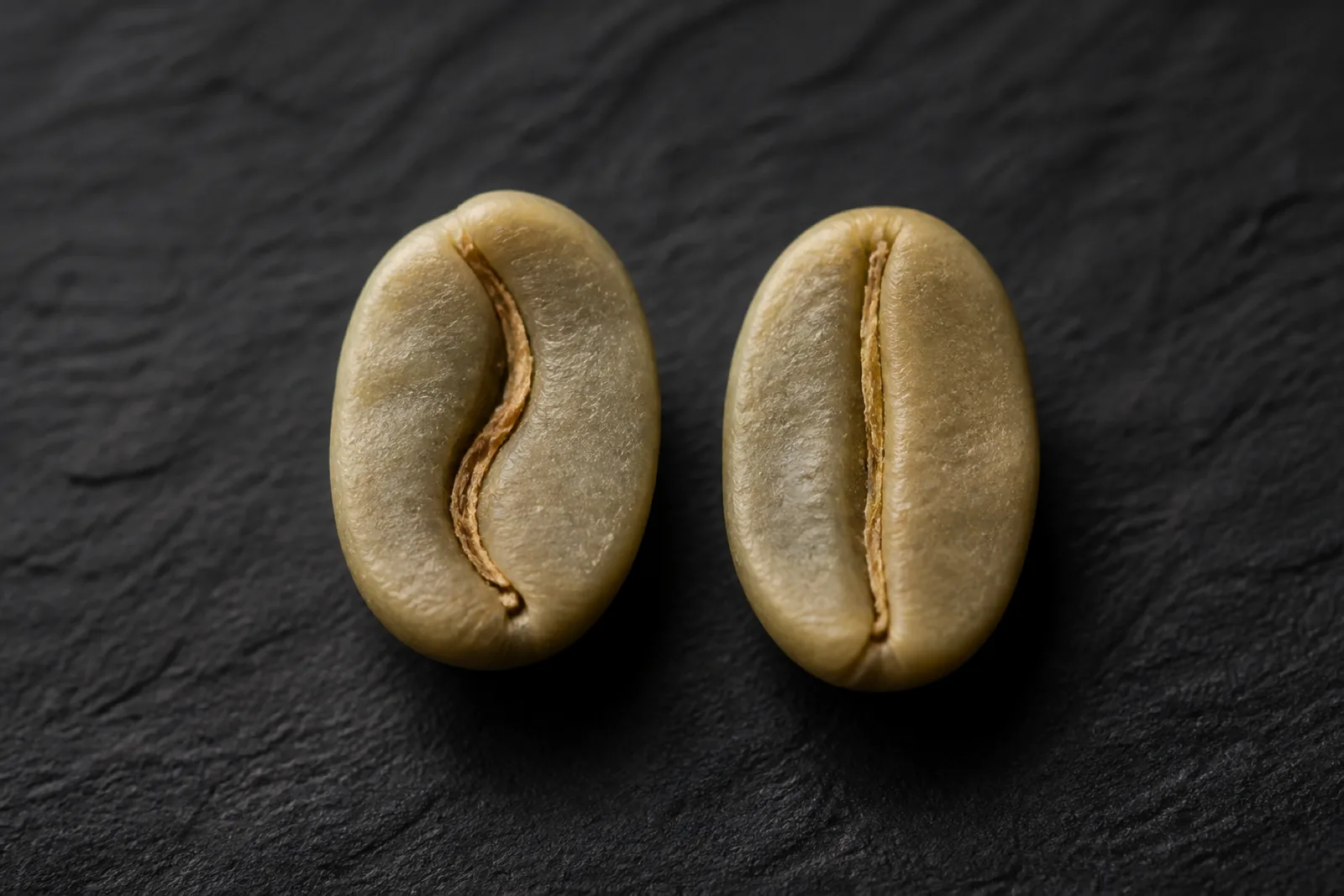 ภาพมาโครเมล็ดกาแฟดิบสองเมล็ดวางเทียบกัน เห็นรอยผ่ากลางเมล็ดชัดเจน